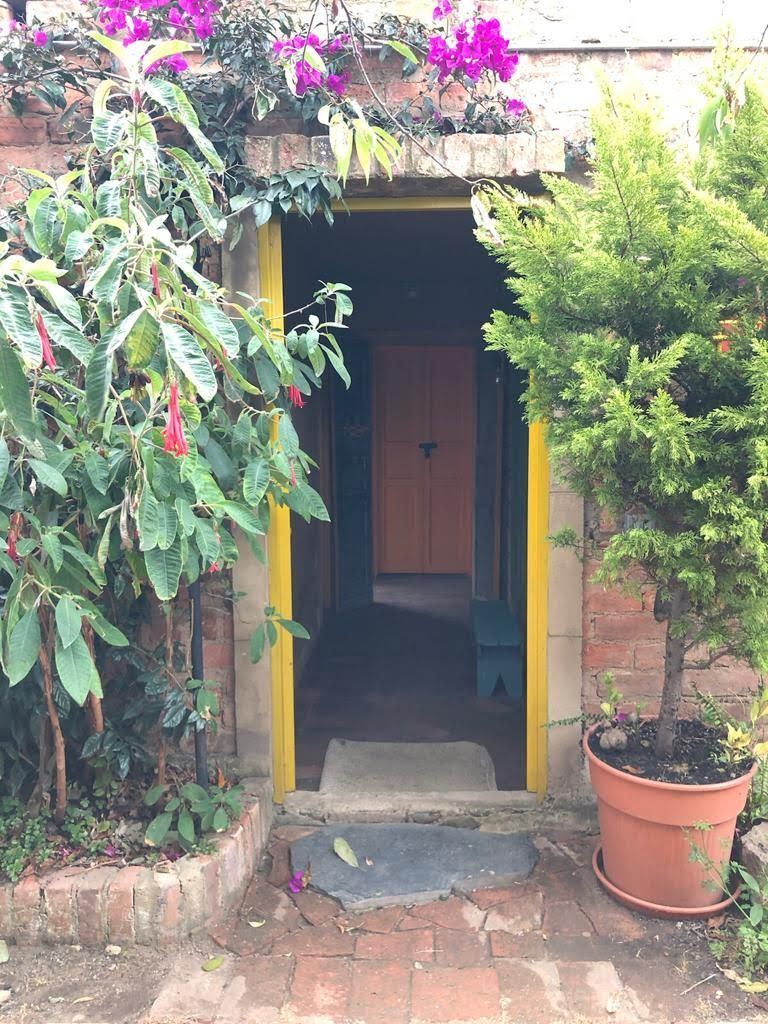Entrada a la casa entre buganvilias