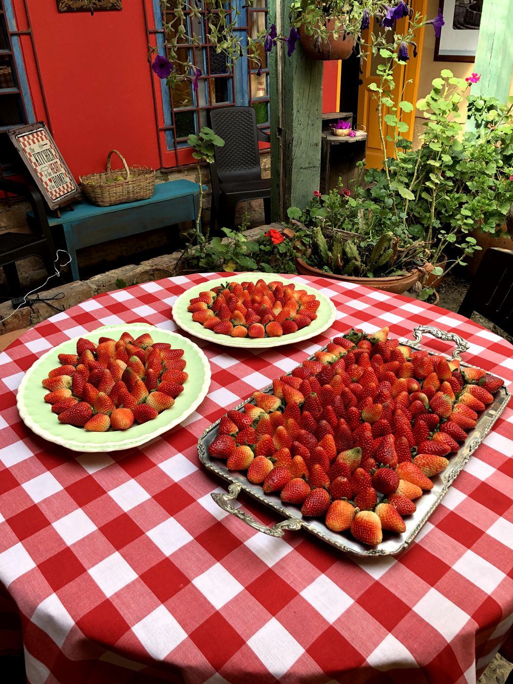 Mesa de fresas sobre mantel de cuadros rojos en el patio