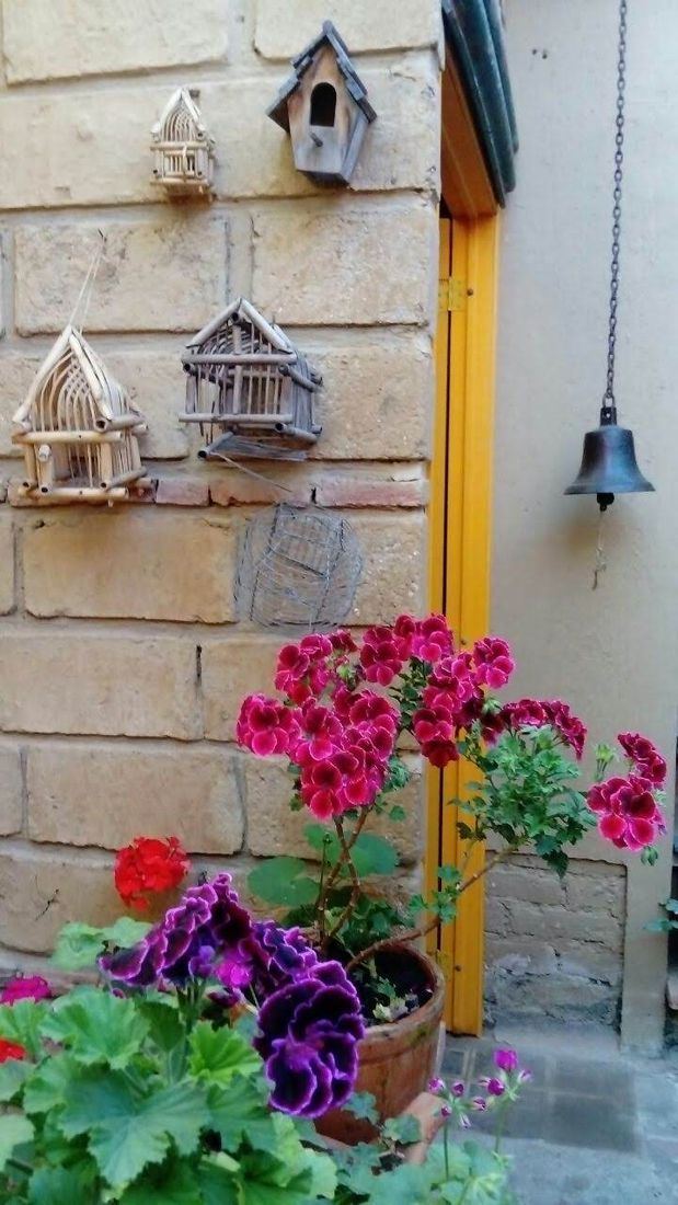 Geranios y casitas de pájaros en el patio