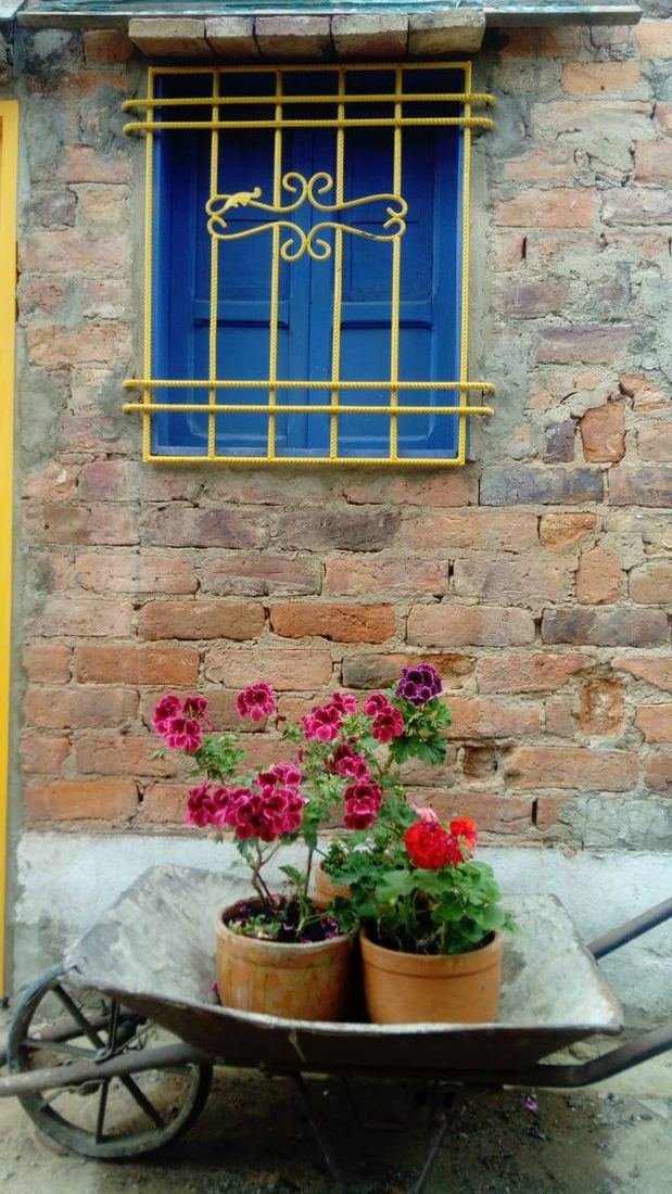 Ventana azul con geranios en una carretilla